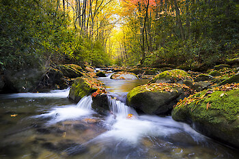 Urlaub am Nationalpark Bayerischer Wald